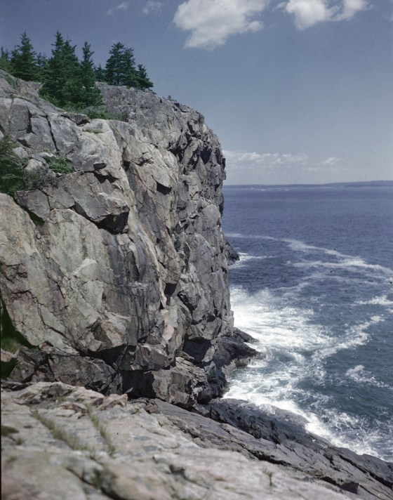 Image: Great Head Cliff At Acadia National Park, Maine
